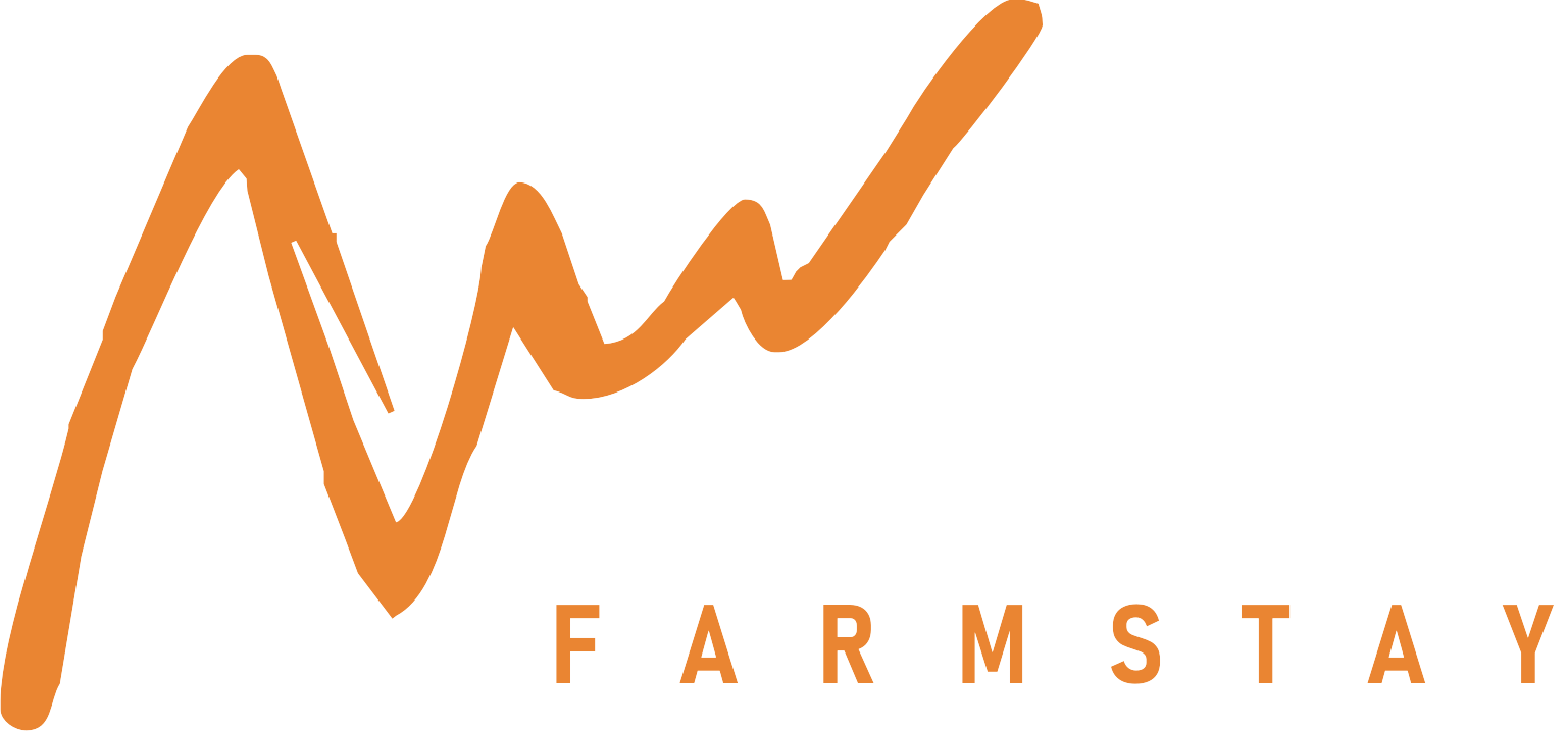 Orange Grove Farmstay